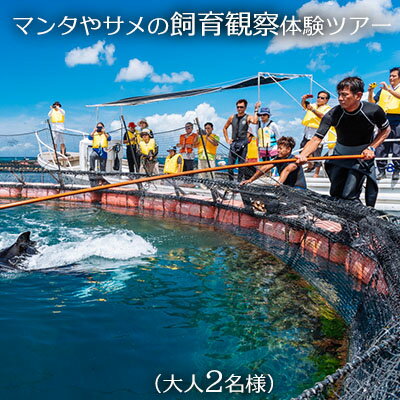 マンタやサメの飼育観察体験ツアー　【大人2名様】