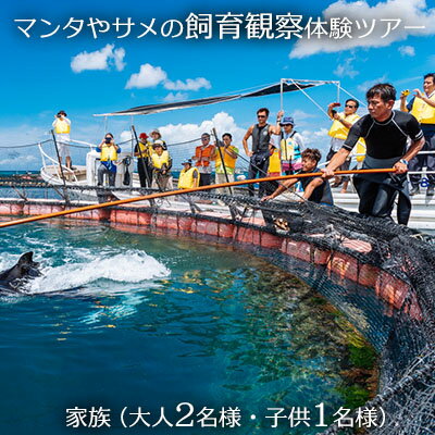 【ふるさと納税】マンタやサメの飼育観察体験ツアー　家族（ 大人2名　子供1名）