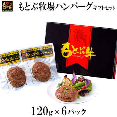 【ふるさと納税】もとぶ牧場ハンバーグギフトセット（120g×6パック）