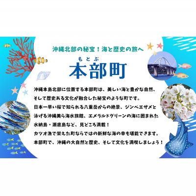【ふるさと納税】HISふるさと納税クーポン（沖縄県本部町）15万円分 観光 宿泊 宿泊券 トラベル 旅行 クーポン リゾート ホテル 旅館 ファミリー ペア ダイビング 沖縄 本部町 ビーチ やんばる オリオン ゴルフ 美ら海 水族館