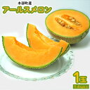 【ふるさと納税】本部町産 アールスメロン(1玉)1.4kg以上 フルーツ 果物 果実 期間限定 数量限定 おすすめ おススメ 本部町 人気 沖縄産 おきなわ も...