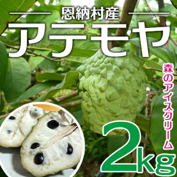 【ふるさと納税】【2021年発送】森のアイスクリーム 恩納村産アテモヤ 2kg