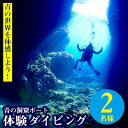 【ふるさと納税】青の世界を体感しよう！青の洞窟ボート体験ダイビング2名様