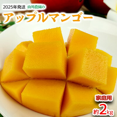 山川農園のアップルマンゴー家庭用（約2kg）