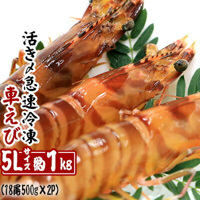 【養殖場から直送】活き〆急速冷凍車えび　5Lサイズ　約1kg（18尾/500g×2P）