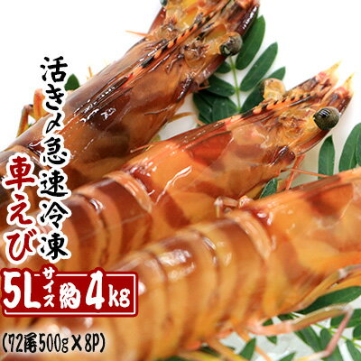 【養殖場から直送】活き〆急速冷凍車えび　5Lサイズ　約4kg（72尾/500g×8P）