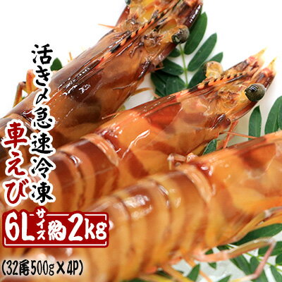 【養殖場から直送】活き〆急速冷凍車えび　6Lサイズ　約2kg（32尾/500g×4P）