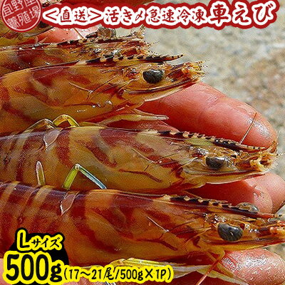 【ふるさと納税】【養殖場から直送】活き〆急速冷凍車えび　Lサイズ　約500g（17～21尾/500g×1P）