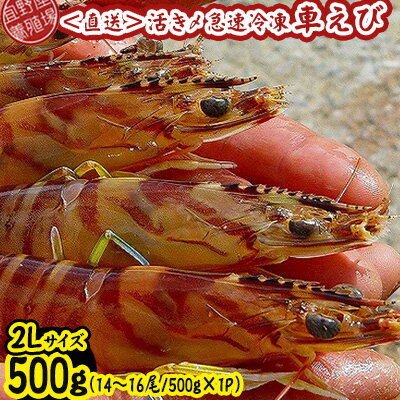 ڤդ뤵Ǽǡۡܿ줫ľ۳褭®֤ӡ2L500g1416/500g1P ֳϷ   ʪ...