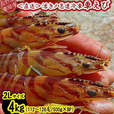 ڤդ뤵Ǽǡۡܿ줫ľ۳褭®֤ӡ2L4kg112128/500g8P ֳϷ   ...