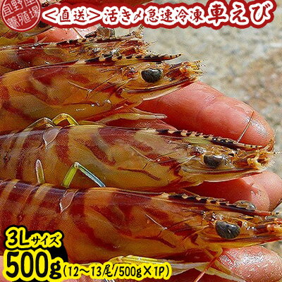 活き〆急速冷凍車えび　3Lサイズ　約500g（12～13尾/500g×1P）