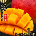 金武町のアップルマンゴー◆贈答用◆約1kg（2～3玉）