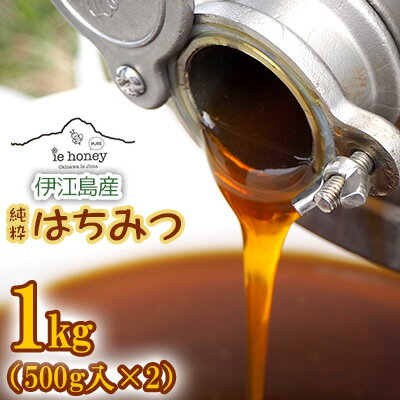 【ふるさと納税】伊江島産　純粋はちみつ＜ie honey＞1kg（500g入×2）のサムネイル