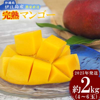 [2024年発送]沖縄県伊江島産 農家直送「完熟マンゴー」約2kg(4〜6玉)