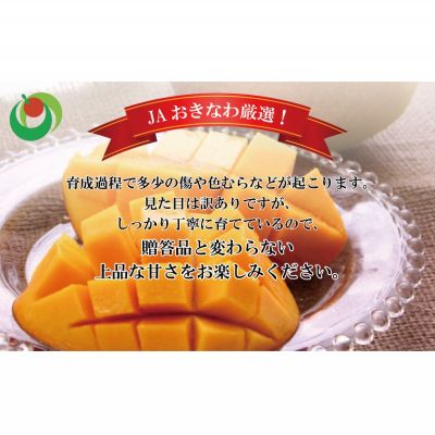 【ふるさと納税】【訳あり・ご家庭用】アップルマンゴー（約1.5Kg）【2024年発送】