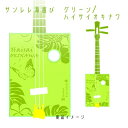 【ふるさと納税】【三線工房まちだ屋】サンレレ海遊びSanleleUmiAshibi<グリーン・ハイサイオキナワ>