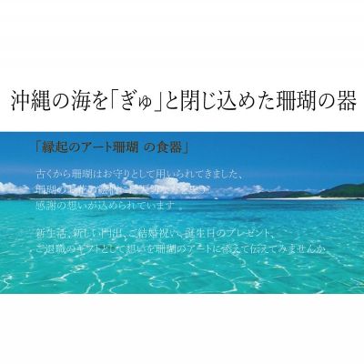 【ふるさと納税】【datta.沖縄南の島陶芸工房】珊瑚タンブラー 紅掛空色x純白（ペアセット）