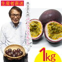 【ふるさと納税】【2024年発送】生産者直送！井上さんのパッションフルーツ1kg