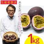 【ふるさと納税】【2024年発送】生産者直送！井上さんのパッションフルーツ1kg