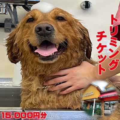 【Pet Club OCEAN】トリミングチケット（15.000円分）