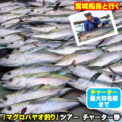 13位! 口コミ数「0件」評価「0」宮城船長と行く【マグロ釣りパヤオツアー】チャーター券（大人6名迄）