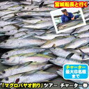 返礼品について 沖縄県北中城村の熱田漁港から出港する、「マグロ釣りツアー」のチャーター券です。沖合に浮かぶパヤオで、「キハダマグロ・カツオ、シイラ」等の大型魚を狙います。マグロ釣り歴20年のベテラン宮城船長が、初心者にも優しく丁寧に釣りのサポートをします。 「パヤオ」とは浮き漁礁のこと。沖縄本島東海岸の沖合には、水深1000メートル以上の海底から水面までロープを伸ばした浮き漁礁が設置されています。 パヤオ付近では漁礁に発生する微生物に小魚が集まり、その子魚を捕食するために大型魚が回遊してきます。出港場所からポイントのパヤオまでは、片道2時間程度かかります。 本ツアーで狙う対象魚は、「キハダマグロ、カツオ、シイラ」といった大型魚。中でも、10キロまでのマグロの数釣りが狙える他、時として40キロ級の大型マグロやカジキマグロが喰ってきます。 主な釣り方は、キビナゴを餌にした「フカセ釣り」。表層にキビナゴを巻き、中層からマグロ等の対象魚を浮かせて喰わせます。もちろん、自身のタックルで「ジギング」や「キャスティング」で狙うこともオーケー！それぞれの得意な釣り方で、ぜひ大物に挑んでください。 釣れた魚は持ち帰ることが出来、希望があれば宮城船長に捌いてもらうことが出来ます（別料金が発生します）。 【釣りの行程表】 ■集合場所：熱田漁港（北中城村熱田2070-8） ■集合時間：朝5時半集合、6時出港 ■ツアーの流れ ・6時：出港して、釣り場のパヤオに向かう（2時間前後かかります）。 ・到着後〜14時まで：実釣時間（6時間程度）。 ・14時：実釣終了、帰港する。 ・16時頃：熱田漁港に到着、解散。 【持ち物】 ・各自タックル（釣り竿、リール、仕掛け等）　・帽子、サングラス、日焼け止め（熱中症対策です）　・飲み物（基準2L以上）　・弁当　・酔い止め薬　・カッパ　・着替え ■ご予約・ツアーに関するお問い合わせ等は、下記連絡先までお問い合わせください。 【北中城村観光協会（TEL：098-923-5888、MAIL：info@kitapo.jp）】 ※寄附前のご予約は承っておりません。また、備考欄にご希望日時をご記入いただいても対応いたしかねます。 ※チケットがお手元に届きましたら、ご自身でご利用日時の予約をお願いいたします。予約状況によっては希望日にご利用出来ない場合がございます。 ※チケットは発行より1年間のご利用期限がございますので、お早目のご利用をお勧めします。 ※悪天候等のやむを得ない事情により、ツアーを中止する場合がございます。その際は、別日での再予約となります。中止の判断は船長が行い、お電話で連絡いたします。 ※マグロを狙いますが、自然が相手なので釣れない場合もございます。釣果を保証するものではございませんので、予めご了承ください。 ※レンタルタックルおよび船設備の破損損害については、別途請求いたします。 ※払い戻し、換金、転売（ネットオークションなど含む）はできません。 返礼品の内容 名称 【ふるさと納税】宮城船長と行く【マグロ釣りパヤオツアー】チャーター券（大人6名迄） 内容量 【内容量】■マグロ釣りパヤオツアー1日チャーター券※本券1枚につき、大人6名迄利用可能※本券には、乗船代と氷代が含まれています※エサ代が別途発生いたします（現地精算となります）※フカセ釣り用のレンタルタックルを準備できます。レンタルを希望される場合は、お電話でのご予約時にお問い合わせください（1人分別途3000円でロッド・リールセットを用意できます）。 申込み時期 通年 発送方法 常温配送 賞味期限 【有効期限】チケット発行日より1年間有効 提供元 一般社団法人北中城村観光協会 ・寄附申込みのキャンセル、返礼品の変更・返品はできません。あらかじめご了承ください。 ・ふるさと納税よくある質問はこちら 類似商品はこちら【ふるさと納税】【6名様プラン】マグロ釣りパヤ596,000円【ふるさと納税】【5名様プラン】マグロ釣りパヤ562,000円【ふるさと納税】【4名様プラン】マグロ釣りパヤ527,000円【ふるさと納税】【3名様プラン】マグロ釣りパヤ493,000円【ふるさと納税】【2名様プラン】マグロ釣りパヤ456,000円【ふるさと納税】【1名様プラン】マグロ釣りパヤ421,000円【ふるさと納税】マグロ釣りパヤオツアー&宿泊チ545,000円【ふるさと納税】マグロ釣りパヤオツアー&宿泊チ470,000円【ふるさと納税】マグロ釣りパヤオツアー&宿泊チ428,000円2024/04/25 更新 北中城ふるさと納税 人気の返礼品ランキングRANKING 10分毎の寄付状況です リアルタイム寄付状況