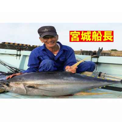 【ふるさと納税】【1名様プラン】マグロ釣りパヤオツアーと釣果料理＆和食ディナービュッフェ（スパ利用券付）