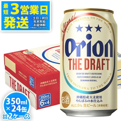 ＜オリオンビール＞オリオン ザ・ドラフト　350ml・24缶　2ケース　沖縄　ビール　ドラフト　orion　生ビール　ふるさと納税　訳あり　お酒　缶ビール　地ビール　クラフトビール　父の日　敬老の日　母の日　バーベキュー　家飲み　宅飲み　キャンプ