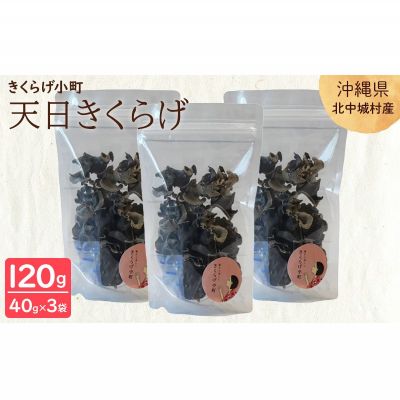 【ふるさと納税】天日きくらげ【40g×3袋】　きくらげ小町