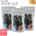 【ふるさと納税】天日きくらげ【40g×3袋】 きくらげ小町 天日 きくらげ 乳酸菌 栽培 きのこ スープ レシピ 料理 家庭料理 食感 きくらげ小町 木耳 キク...