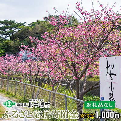 【ふるさと納税】【返礼品なし】沖縄県北中城村ふるさと応援寄附金 1000円 寄附のみの応援 寄附のみ 返礼品なし 返礼品無し　御礼品なし　御礼品無し 寄附 寄付 応援 支援 沖縄本島 中部地区 世界遺産 中城城跡 伝統芸能