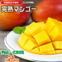 【ふるさと納税】【2026年発送】沖縄県産 完熟マンゴー 化粧箱・秀品 約2kg 産地直送 先行予約 フルーツ 果物 くだもの アップルマンゴー アーウィン種 ...