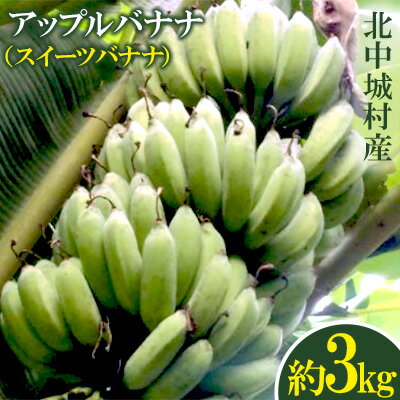 【KIMONO FRUITS】冷凍バナナ　7kg　1000g×7　冷凍バナナスライス（フィリピン）国内生産冷凍バナナ