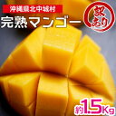 【ふるさと納税】【2024年発送】訳あり品 沖縄県北中城村 完熟マンゴー約1.5kg【先行予約】