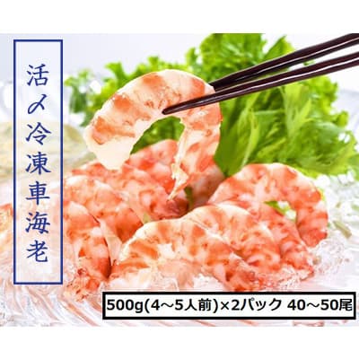 【ふるさと納税】【エポック】活〆冷凍有頭車海老1kg： 500g(20-25尾 4～5人前)×2パック 生産者から直送