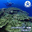 楽天沖縄県久米島町【ふるさと納税】久米島ファンダイビング利用券1名様　1日3ダイブ ダイビング ファンダイブ ダイビングスポット ダイバー ウミガメ マンタ 熱帯魚 サンゴ礁 マリン アクティビティ 水中 潜水 ライセンス バディ 潜る 沖縄 久米島 海 海洋生物 スキューバ