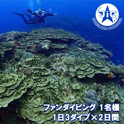 【ふるさと納税】久米島ファンダイビング利用券1名様　1日3ダイブ×2日間