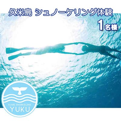 【ふるさと納税】【久米島】シュノーケリング体験 1名様（ビーチエントリー） 1