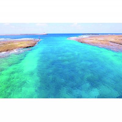【ふるさと納税】【久米島】シュノーケリング体験 1名様（ビーチエントリー）