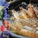 【ふるさと納税】【久米総合開発】活き〆急速冷凍 久米島ブランド車海老 中サイズ 4kg 海の幸 海鮮 車えび クルマエビ くるまえび 高級 食材 生食 刺身 鮮...