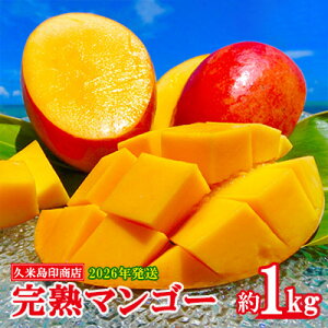 【ふるさと納税】【2026年発送】久米島印商店 完熟マンゴー 約1kg マンゴー フルーツ 果物 デザート 完熟 甘い 濃厚 スムージー アイス プリン ヨーグルト ケーキ 贈り物 贈答 ギフト 人気 リピーター 南国 沖縄 久米島