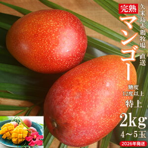 【ふるさと納税】【2026年発送】久米島赤鶏牧場 直送!糖度12度以上「特上」完熟マンゴー 約2kg(4~5玉) マンゴー 完熟 アップルマンゴー アーウィン 甘い 濃厚 循環型農業 減農薬栽培 牧場 養鶏 和牛 久米島の久米仙 酒粕 月桃 ウコン 芳醇 爽やか 南国フルーツ ギフト