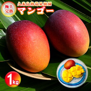 【ふるさと納税】【2023年発送】久米島熱帯果樹園 マンゴー1kg（2～3玉）