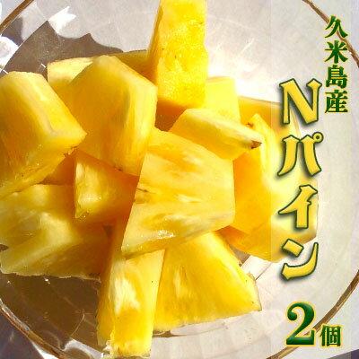[2024年発送]久米島印商店 パイナップル2個(ハワイ種N67-10)