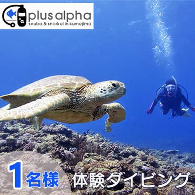 2位! 口コミ数「0件」評価「0」ダイビングパラダイス！久米島で体験ダイビング【1名様】