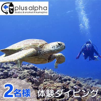 【ふるさと納税】ダイビングパラダイス！久米島で体験ダイビング【ペア】 1