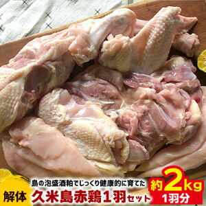 【ふるさと納税】島の泡盛酒粕でじっくり健康的に育てた 久米島赤鶏1羽セット(解体) 2kg 鶏肉 チキン 安心安全 ぷりっぷり ジューシー 肉汁 弾力 肉質 フランス原産 レッドブロー カレー 煮物 ソテー カツ 唐揚げ キャンプ BBQ クリスマス ホームパーティー パック