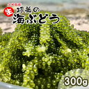 球美の”生”海ぶどう（100g×3個）