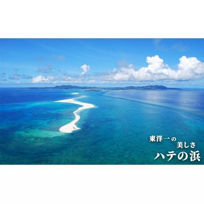 【ふるさと納税】【久米島町】しろくまツアーで利用可能 WEB旅行クーポン(1万5千円分）その2