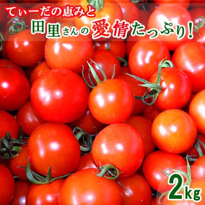 [2025年12月以降順次発送]てぃーだの恵みと田里さんの愛情たっぷり!ミニトマト 赤2kg ミニトマト トマト 野菜 甘い 濃厚 フルーツ デザート フレッシュ サラダ スープ ピザ パスタ ソース トマト料理 リコピン ビタミンC ビタミンA β−カロテン